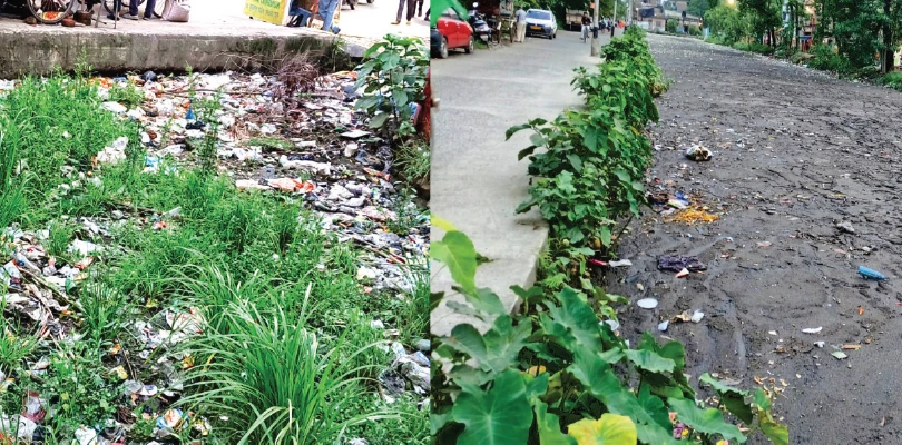 দাঁতিয়া খালে প্লাস্টির-গোবর-কাদা বেহাল নিকাশি, জলমগ্ন কামারহাটি