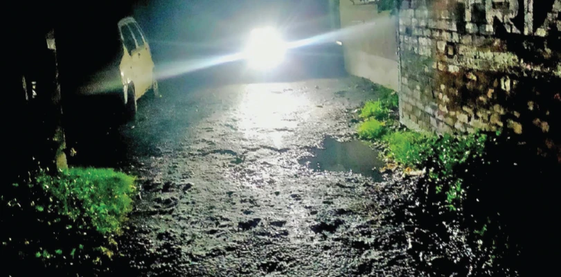 নিমতলা–পালপাড়া রাস্তায় বিকল পথবাতি, সাপের উপদ্রব, আতঙ্ক