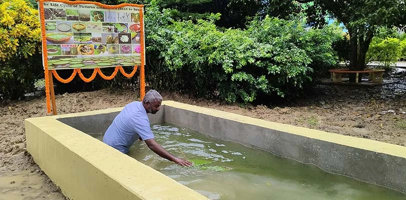 বোটানিক্যাল গার্ডেনের ‘ভিক্টোরিয়া লিলি’র দেখা মিলবে ডেবরা কলেজে