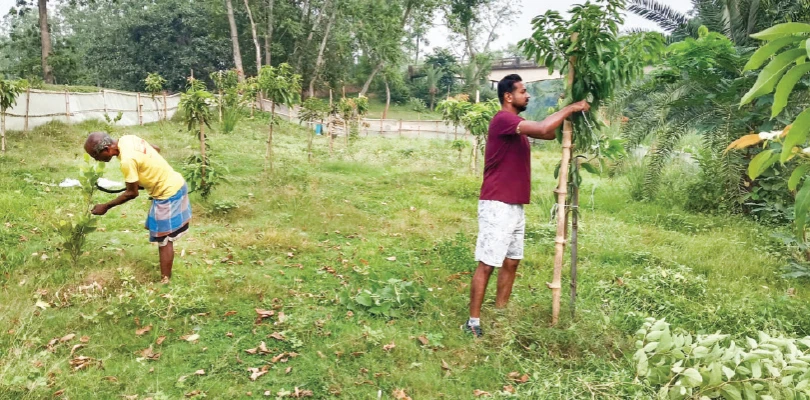 দেশীয় আমের পাশে স্পেনের গাছ, ক্রমে বিশ্বজনীন হচ্ছে বৈঁচির বাগান, অভিনব নাগরিক উদ্যোগ হুগলিতে