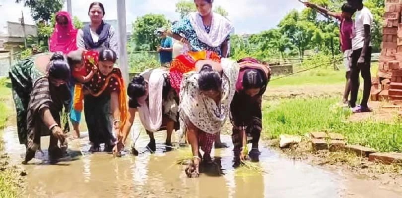 জল ও কাদায় ডুবে রাস্তা, ধানের চারা পুঁতে ও মাছ ধরে প্রতিবাদ