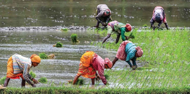 কৃষক স্বার্থ, প্রধানমন্ত্রী ফসল বিমায় প্রিমিয়াম দেবে রাজ্যই