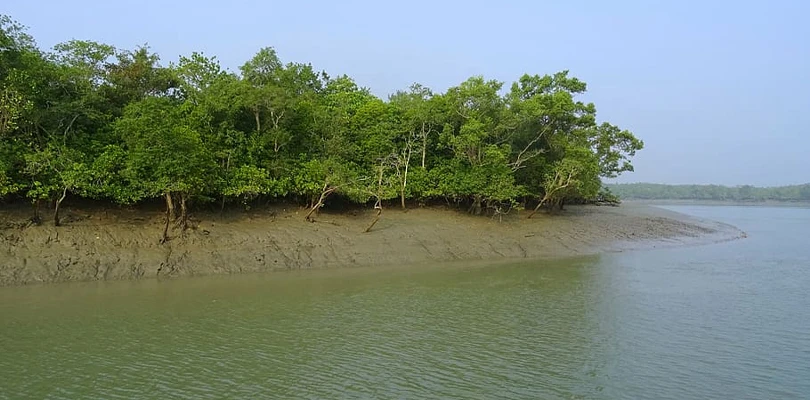 ‘দ্বিতীয় গ্লোবাল ডেস্টিনেশন  হবে সুন্দরবন’, ঘোষণা পর্যটনমন্ত্রীর