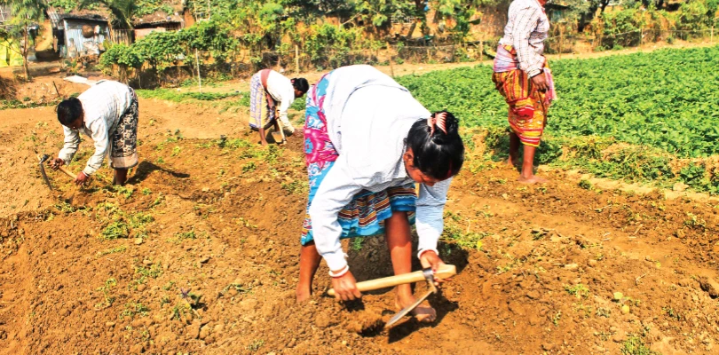 মুখ্যমন্ত্রীর জেলায় ‘বিকশিত ভারত জি রামজি’ ২২৩টি পঞ্চায়েতের মধ্যে স্কিম চালু মাত্র ১১৬টিতে