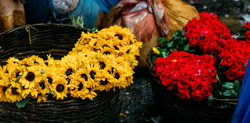 ফুলবাজারের দুরবস্থা কাটাতে  বৈঠক করলেন উদ্যানপালনমন্ত্রী