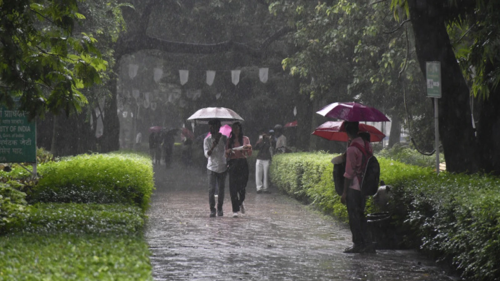 এবার বৃষ্টি বাড়বে উত্তরবঙ্গে