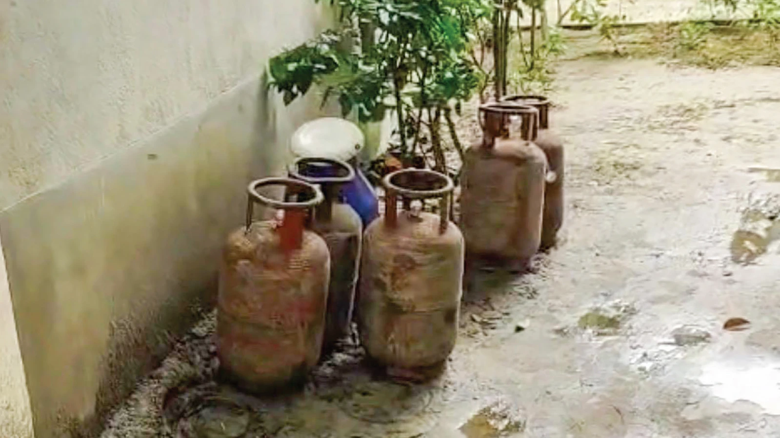 এলপিজি সিলিন্ডার কালোবাজারির অভিযোগ, গাইঘাটায় ধৃত ব্যবসায়ী