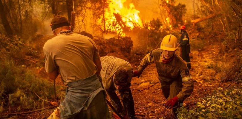 তীব্র দাবানল, মৃত তিন দমকল কর্মী