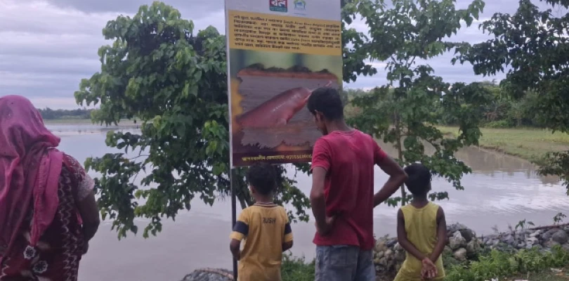কোচবিহারের যাত্রাপুরে তোর্সায় দেখা মিলল ডলফিনের