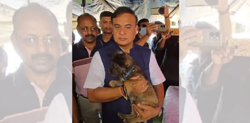 প্রিয় পোষ্যকে বাঁচিয়ে ভেসে গেল কিশোর