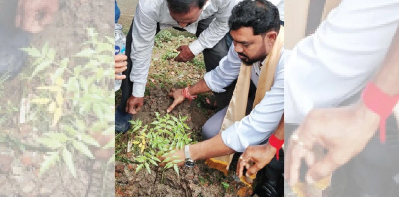 সুন্দরবনের দখল হওয়া ১৬০০ হেক্টরে ম্যানগ্রোভ রোপণের উদ্যোগ বনমন্ত্রীর
