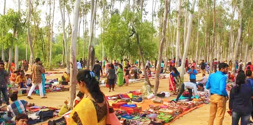 সোনাঝুরির হাটে গাছের নীচে পাকা নির্মাণ, বনদপ্তরের নির্দেশে ভাঙা শুরু