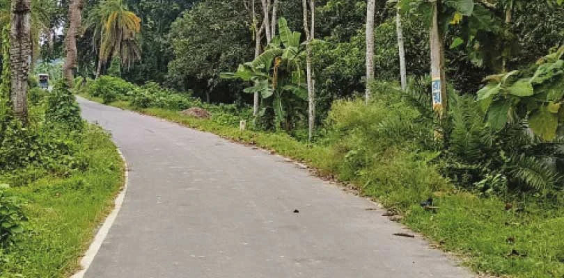 দিগনগরে আলোর অভাব হাতিশালা-মইলকা সড়কে