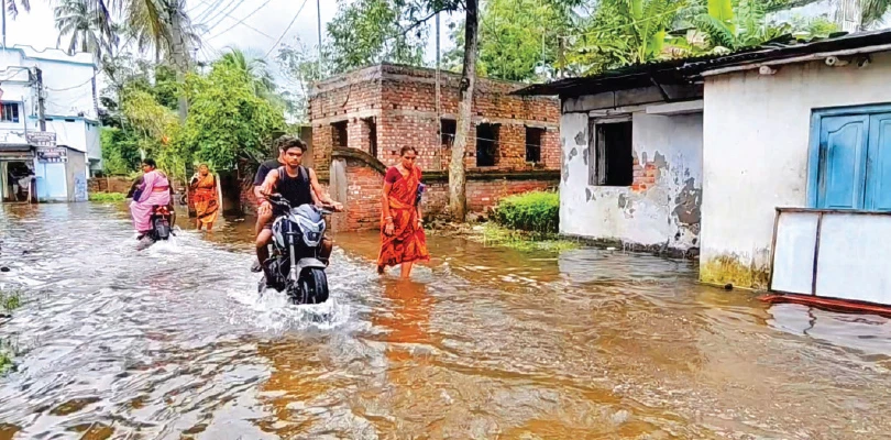 বসিরহাট মহকুমার তিন পুরসভার সিংহভাগ ওয়ার্ডই জলের নীচে, বেপাত্তা কাউন্সিলাররা