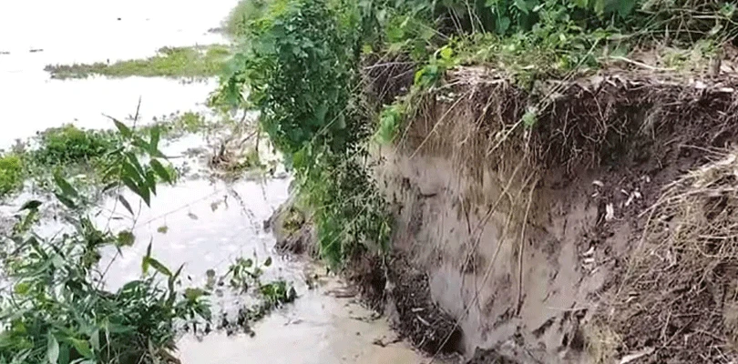 ভাগীরথীর ভাঙনে নিশ্চিহ্ন হতে বসেছে পূর্বস্থলীর দেবনগর গ্রাম