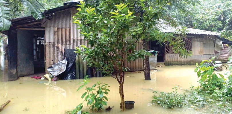 পূর্ব মেদিনীপুর: প্লাবনের জেরে ধান, পান, ফুল, সবজি ও মাছ চাষে ব্যাপক ক্ষতি