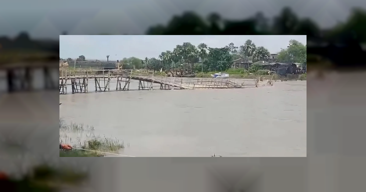তিন বছরেও সংস্কার হয়নি ব্রিজ, কাঠের সাঁকোয় ঝুঁকি নিয়ে পারাপার