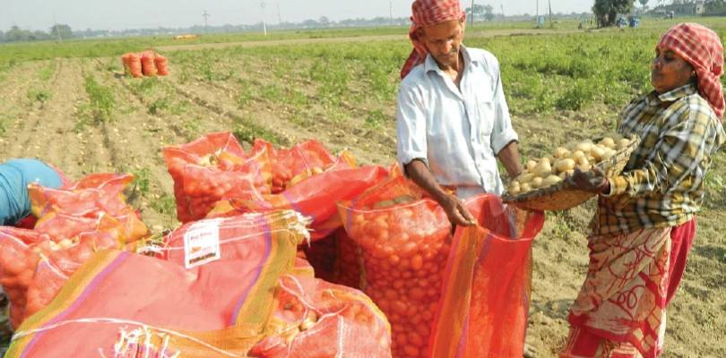 হিমঘরে মজুত আলু ভিনরাজ্যে পাঠাতে চায় সরকার