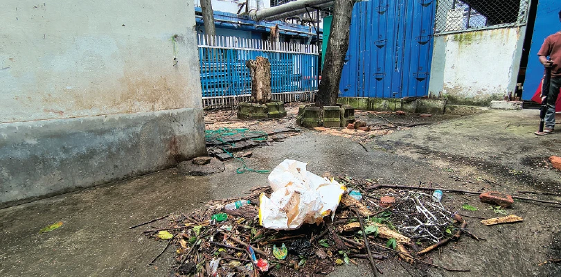 এসএসকেএম চত্বরে গাছ ভেঙে মৃত্যু