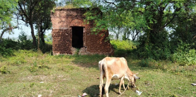 কবি সজনীকান্তের জন্মভিটে ধ্বংসের মুখে, সংরস্কারের দাবি