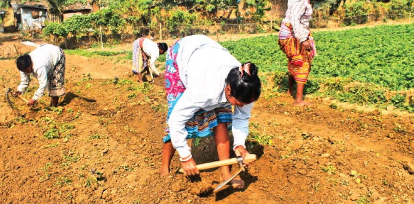 সব শ্রমিকদের ১২৫ দিনের কাজ  নিশ্চিত করতে হবে পঞ্চায়েতগুলিকে, বাঁকুড়া জেলা প্রশাসনের স্পষ্ট নির্দেশ