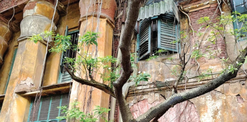 ধ্বংসের পথে রাখি বন্ধনের পীঠস্থান ‘বসু বাটি’