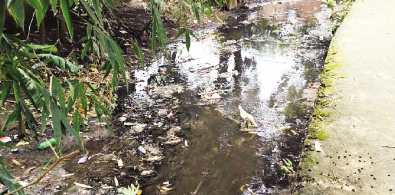 বড়ঞায় বিধায়কের নিজের গ্রামেই নালা সংস্কার হয়নি,  তীব্র ভোগান্তি বাসিন্দাদের