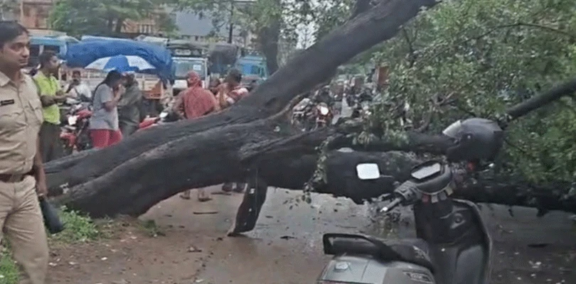 রাতভর ঝড়-বৃষ্টিতে বিপর্যয় শিল্পাঞ্চল, অবরুদ্ধ একাধিক রাস্তা
