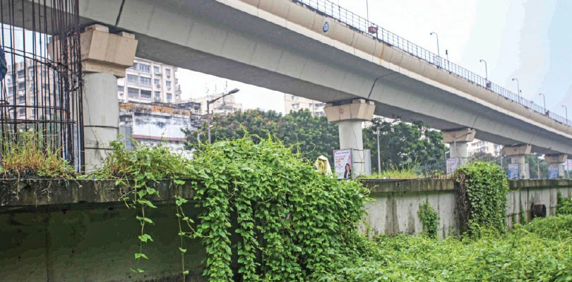 দীর্ঘকাল কাজ বন্ধে বুলেভার্ডে আগাছা, অর্ধসমাপ্ত অবস্থায় পড়ে জলাধার-পাম্পিং স্টেশন