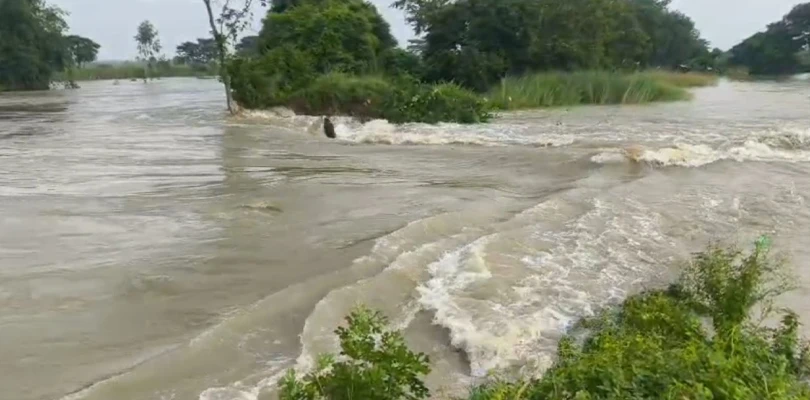 টানা বৃষ্টির জেরে বীরভূমে লাভপুরে ফের ভাঙল কুয়ে নদীর বাঁধ, জলমগ্ম এলাকা