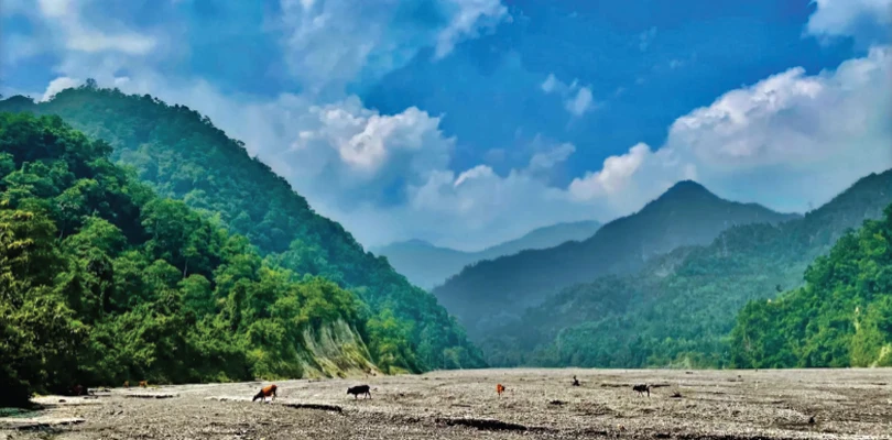 তিতির তীরে সবুজ সংসার