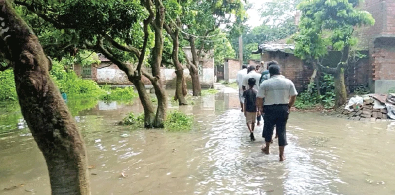 পদ্মার জলস্তর বাড়ায় লালগোলায় ফের ভাঙন শুরু, প্রবল আতঙ্ক