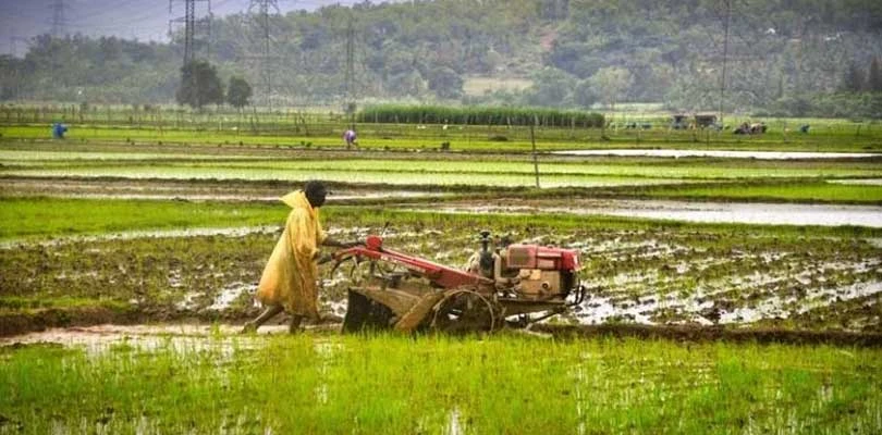 প্রধানমন্ত্রী ফসল বিমা যোজনায় নাম নথিভুক্তকরণে ব্যাপক সাড়া