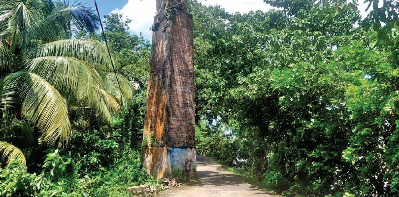 রক্ষণাবেক্ষণ নেই, ভেঙে পড়ার মুখে ঐতিহাসিক বাতিঘর
