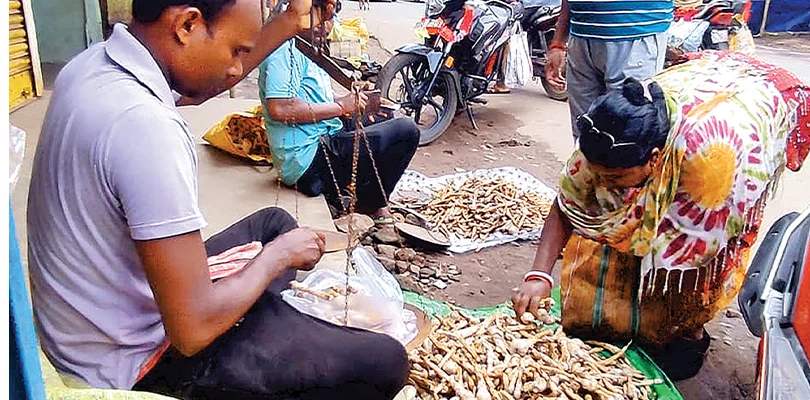 পুজোর আগে ‘দুগ্গাছাতু’, বাড়তি আয়ের দরজা খুলছে ঝাড়গ্রামে