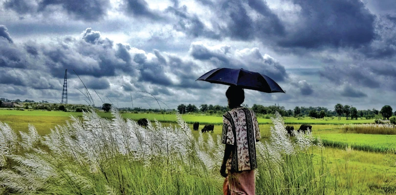 দক্ষিণবঙ্গের এই জেলাগুলিতে হলুদ সতর্কতা জারি করল আবহাওয়া দপ্তর