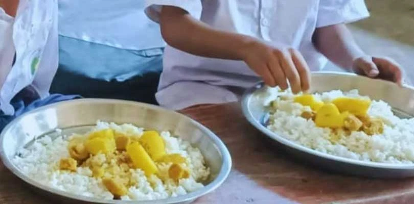 ছ’মাস মিড-ডে মিলের টাকা বকেয়া, অনেক স্কুল সংকটে