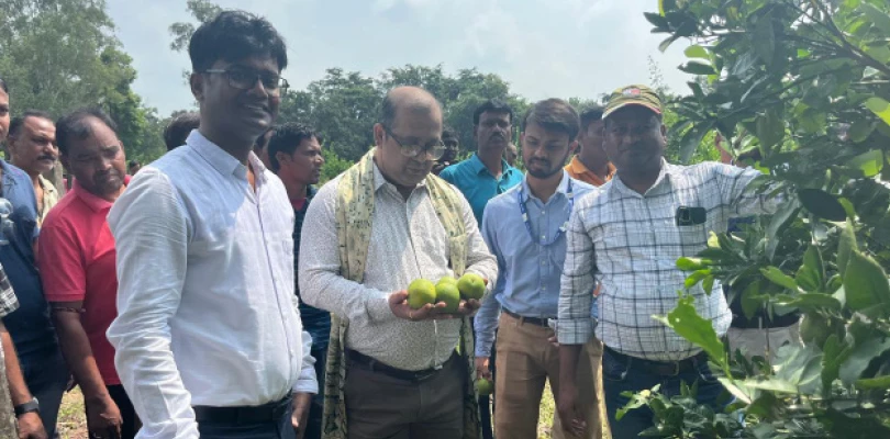 সরকারি হর্টিকালচার ফার্মে উন্নত প্রজাতির চারা তৈরির প্রশিক্ষণ