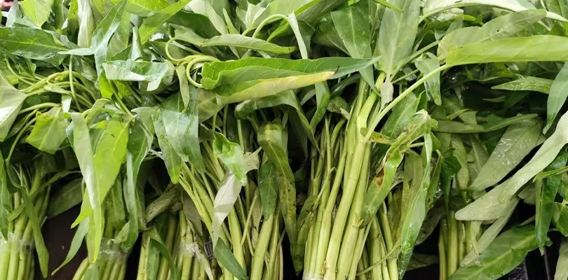 শাক বিক্রি হলেই হাঁড়ি চড়ে, ইলার সংসারে বাড়তি আনন্দ নেই পুজোয়