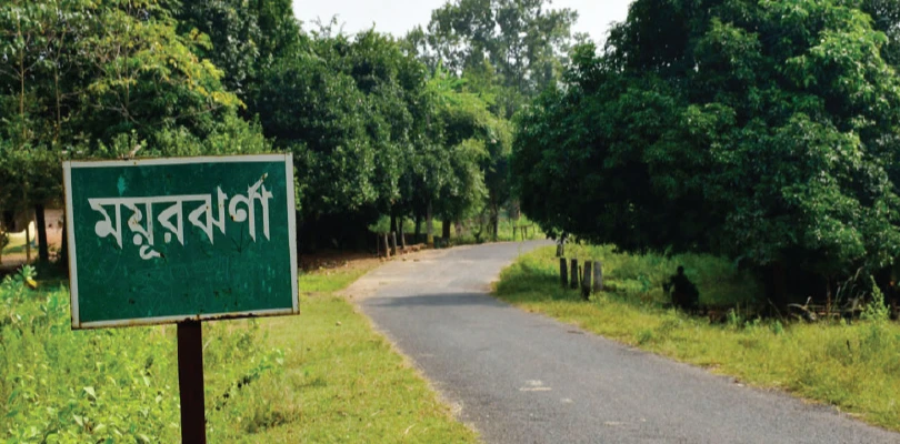 ময়ূরঝর্না এলিফ্যান্ট বাস্তবে কি হবে? প্রশ্ন ঝাড়গ্রামবাসীর
