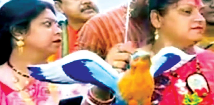 নীলকণ্ঠ দর্শন শুভ, পুণ্যলাভে নিরঞ্জন পর্বে মাটির পাখিই সই