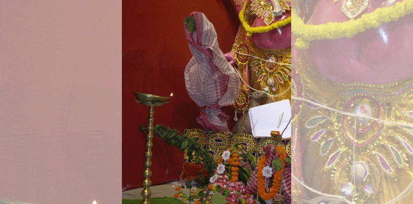 মোট ন’টি গাছের আঁটিই নবপত্রিকা, ৮ রকম জল দিয়ে স্নান সেরে বসেন গণেশের পাশে