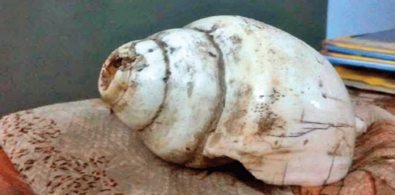 ‘মহিষাসুরমর্দিনী’ শুরুর শঙ্খধ্বনি, মহালয়ার সেই শাঁখ কলকাতাতেই