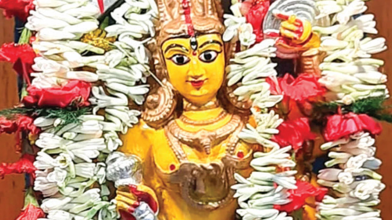 স্বপ্নাদেশ পেয়ে মুসলিমের ঘরের মাটি খুঁড়ে মিলেছিল মা দুর্গার কষ্টিপাথরের মূর্তি, বাগবাজারে হালদার বাড়ির পুজো ৪৫৫ বছরে