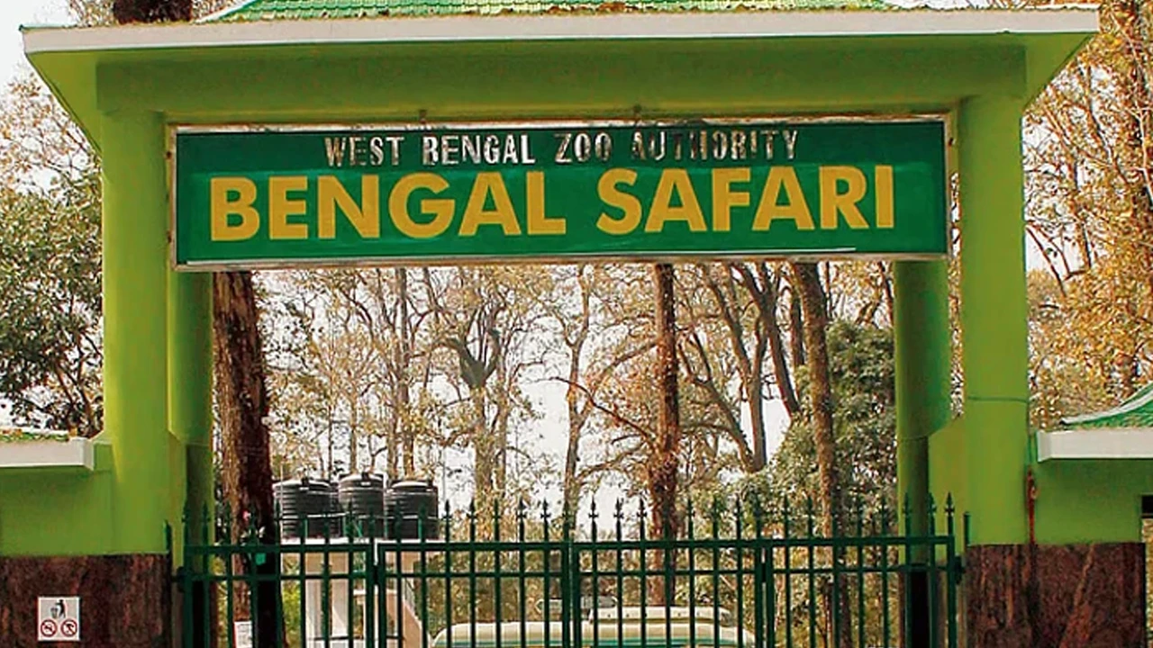 ন’মাসে ২৭টি প্রাণীর মৃত্যু, প্রশ্নের মুখে পার্ক কর্তৃপক্ষ