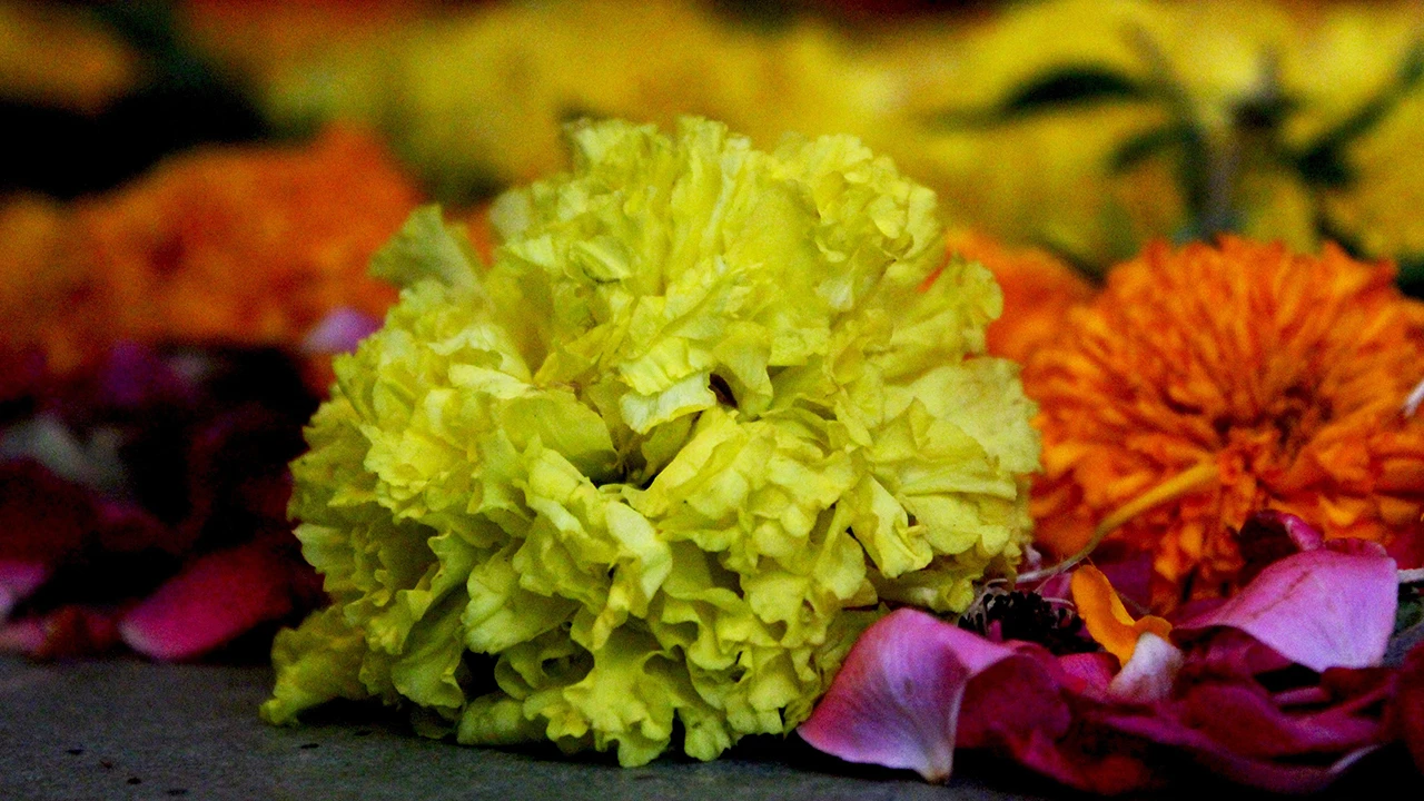 স্কুলের উন্নতির জন্য শুরু করা দুর্গাপুজো আজ সর্বজনীন