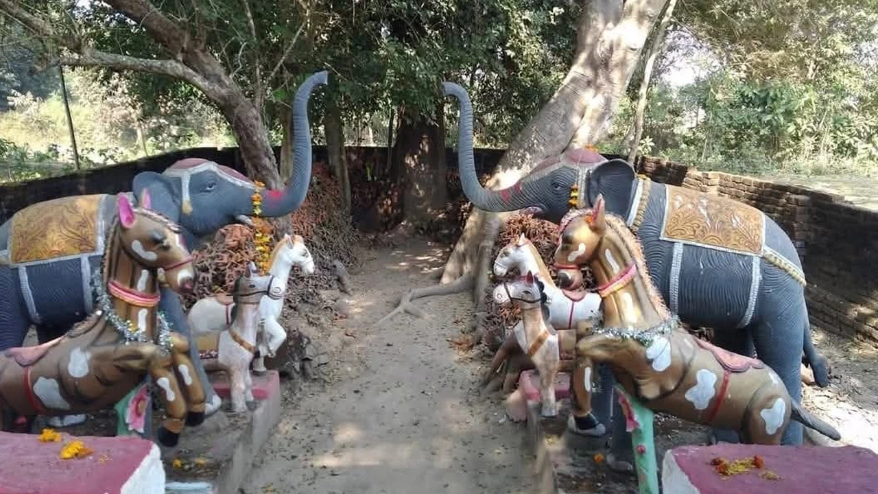 বৈভব নয়, লোকাচারেই দুর্গার আরাধনা, লোকায়ত পুজো দর্শনে ঝাড়গ্রামে ভিড়