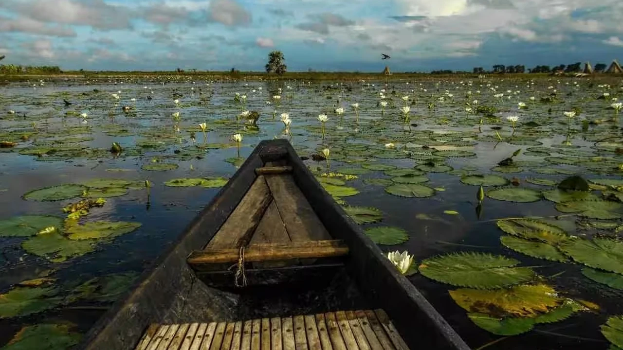 বর্তির বিল ঘিরে বিকল্প জীবিকার উদ্যোগ গ্রহণ