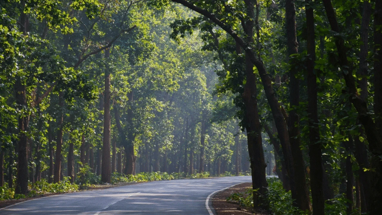 ঝাড়গ্রামের শুয়াবাসায় একাধিক সমস্যায় জর্জরিত লোধা-শবররা