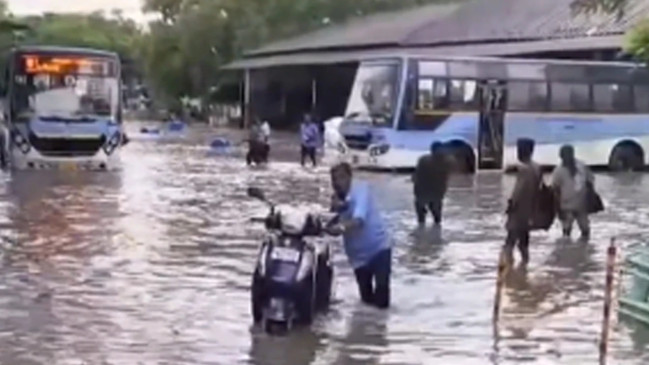 ভারী বৃষ্টিতে হাঁটু জলে ডুবল তামিলনাড়ুর বিরুধুনগরের সরকারি বাস টার্মিনাস, চরম দুর্ভোগে নিত্যযাত্রীরা
